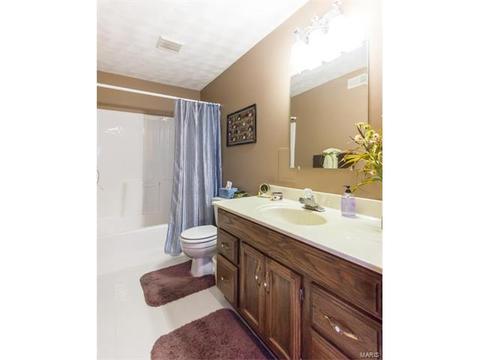 1016 Park Forest Pl, Ellisville, MO 63021 photo 24