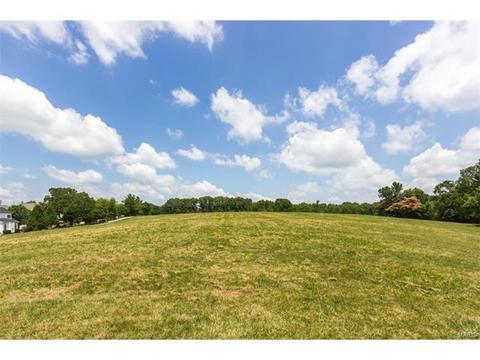 1016 Park Forest Pl, Ellisville, MO 63021 photo 42