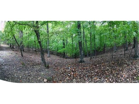 330 Palisades Ridge Ct, Eureka, MO 63025 photo 4