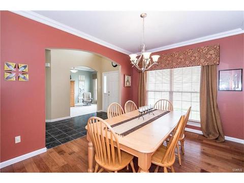 330 Palisades Ridge Ct, Eureka, MO 63025 photo 10