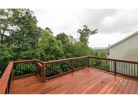 330 Palisades Ridge Ct, Eureka, MO 63025 photo 31