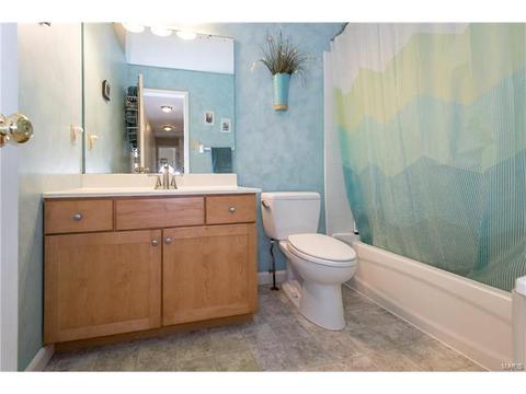 330 Palisades Ridge Ct, Eureka, MO 63025 photo 29