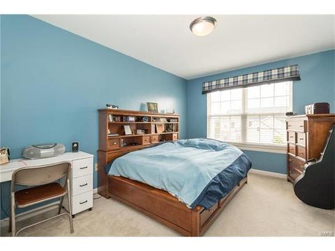 330 Palisades Ridge Ct, Eureka, MO 63025 photo 27