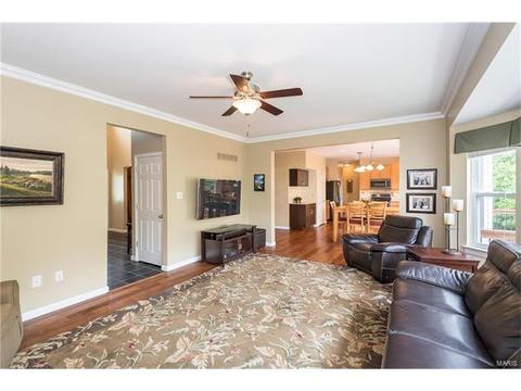 330 Palisades Ridge Ct, Eureka, MO 63025 photo 15