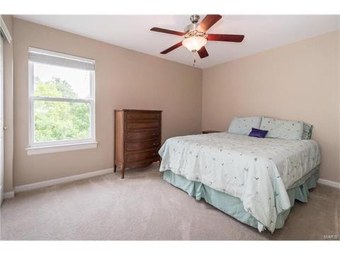 330 Palisades Ridge Ct, Eureka, MO 63025 photo 28