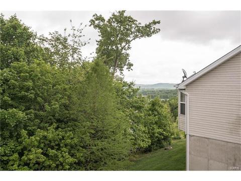 330 Palisades Ridge Ct, Eureka, MO 63025 photo 32