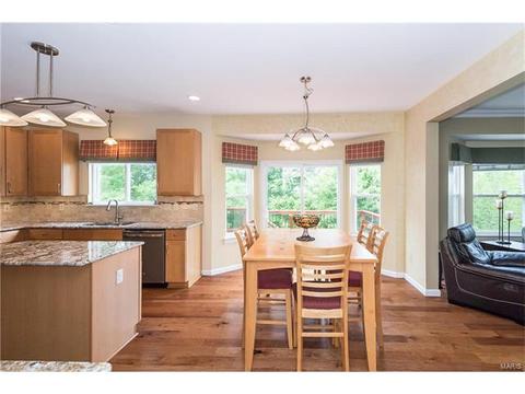 330 Palisades Ridge Ct, Eureka, MO 63025 photo 19
