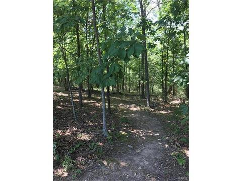 330 Palisades Ridge Ct, Eureka, MO 63025 photo 33