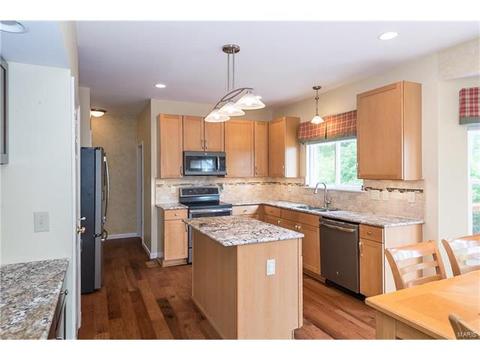 330 Palisades Ridge Ct, Eureka, MO 63025 photo 18