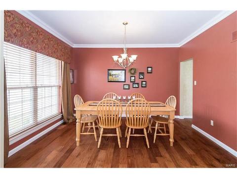 330 Palisades Ridge Ct, Eureka, MO 63025 photo 9