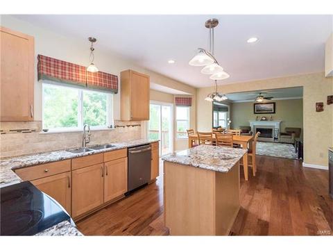 330 Palisades Ridge Ct, Eureka, MO 63025 photo 20