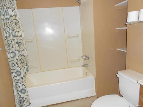 812 White Picket Ln, Ballwin, MO 63021 photo 14