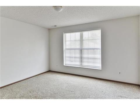 2331 Hidden Deer, O'fallon, MO 63368 photo 32