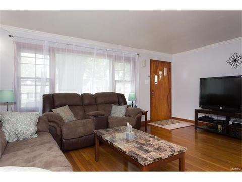 1225 Addison Dr, Saint Louis, MO 63137 photo 3