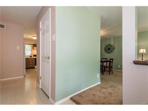 919 Brookvale Ter, Ballwin, MO 63021 photo 5