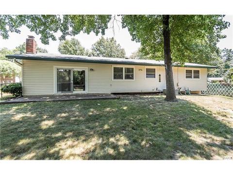919 Brookvale Ter, Ballwin, MO 63021 photo 27