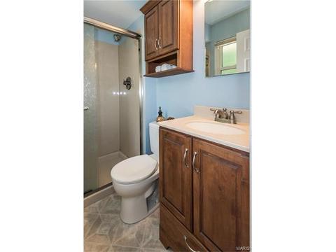 919 Brookvale Ter, Ballwin, MO 63021 photo 18