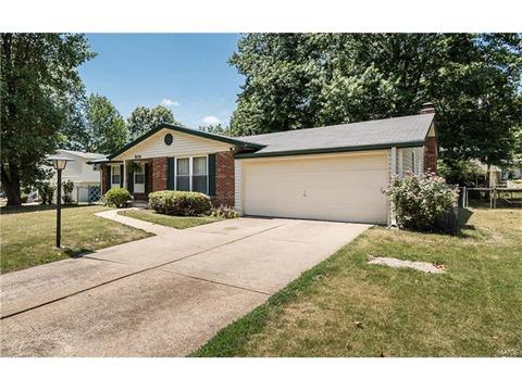 919 Brookvale Ter, Ballwin, MO 63021 photo 3