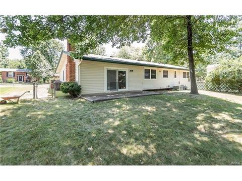 919 Brookvale Ter, Ballwin, MO 63021 photo 29