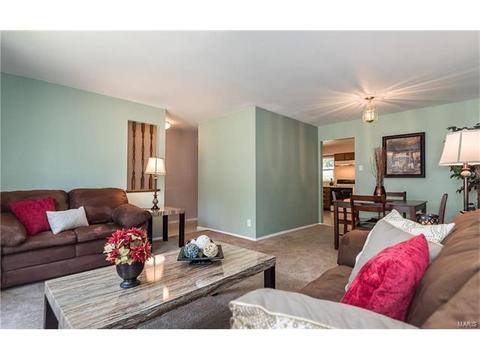 919 Brookvale Ter, Ballwin, MO 63021 photo 7