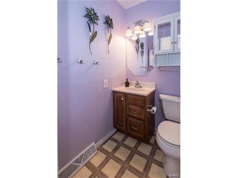 919 Brookvale Ter, Ballwin, MO 63021 photo 21