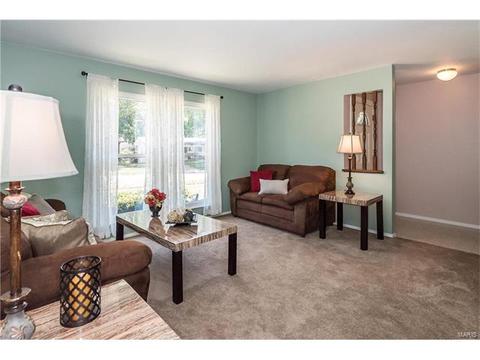 919 Brookvale Ter, Ballwin, MO 63021 photo 8
