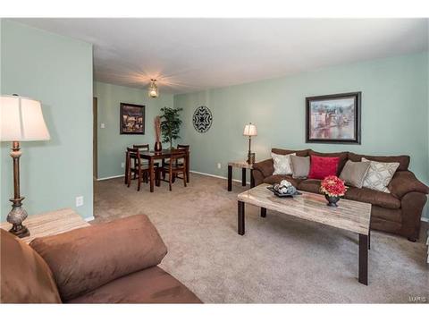 919 Brookvale Ter, Ballwin, MO 63021 photo 6