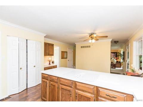 525 Cedar Cove Ct, Ballwin, MO 63021 photo 11