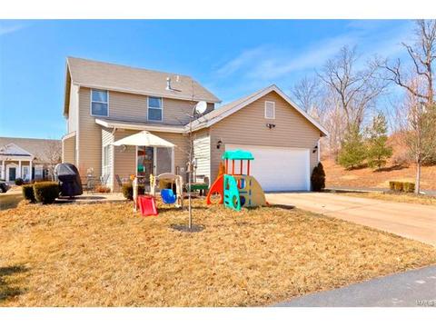 324 Hawks View Dr, O'fallon, MO 63368 photo 27