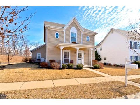 324 Hawks View Dr, O'fallon, MO 63368 photo 30