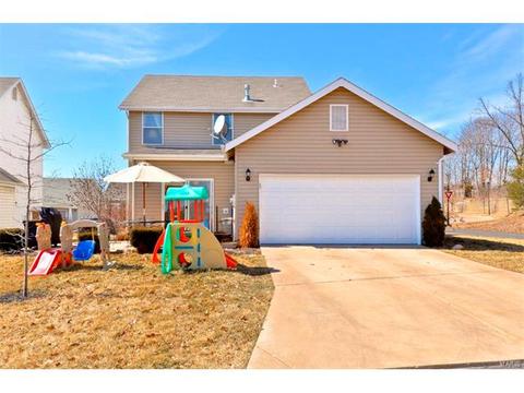 324 Hawks View Dr, O'fallon, MO 63368 photo 28