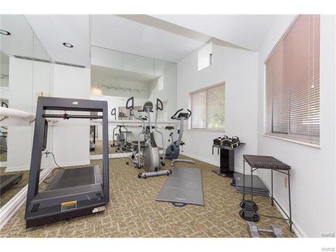 637 Highview Circle Dr, Ballwin, MO 63021 photo 30
