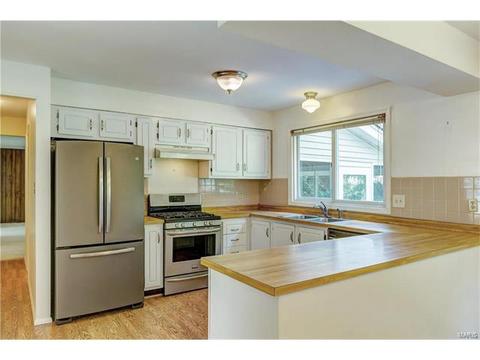 675 Waterford Ridge Dr, Ballwin, MO 63021 photo 16