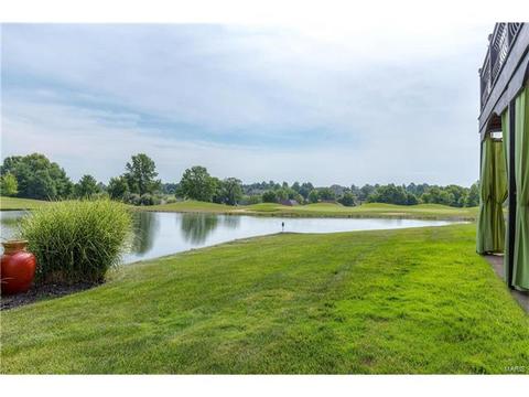 111 Glendalough Ln, Weldon Spring, MO 63304 photo 59