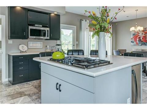 111 Glendalough Ln, Weldon Spring, MO 63304 photo 12