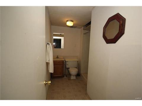 113 Roland Ave, Ballwin, MO 63021 photo 13