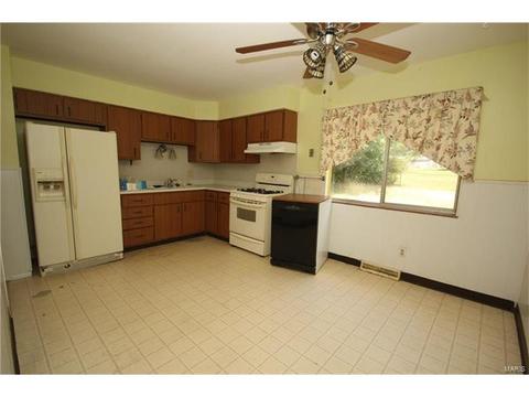 113 Roland Ave, Ballwin, MO 63021 photo 4