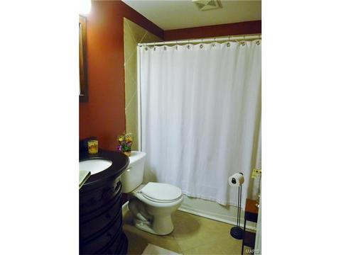 457 Brookhaven Ct, O'fallon, MO 63368 photo 28