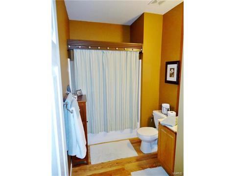 457 Brookhaven Ct, O'fallon, MO 63368 photo 18