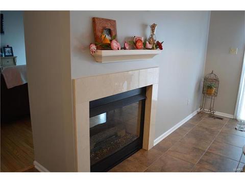 457 Brookhaven Ct, O'fallon, MO 63368 photo 10