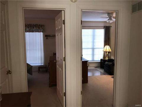 101 Lissadell Ln, Weldon Spring, MO 63304 photo 17