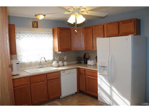 1806 Pebble Brook Dr, O'fallon, MO 63366 photo 3
