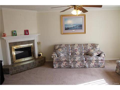 1806 Pebble Brook Dr, O'fallon, MO 63366 photo 8
