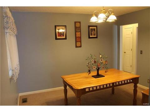 1806 Pebble Brook Dr, O'fallon, MO 63366 photo 13