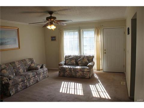 1806 Pebble Brook Dr, O'fallon, MO 63366 photo 9