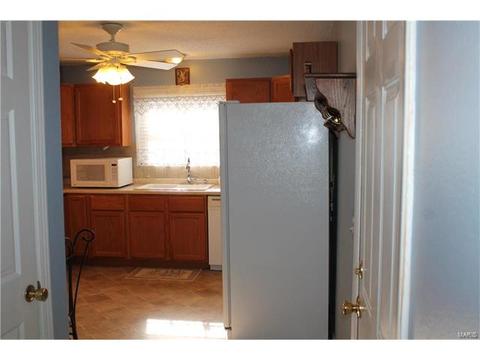 1806 Pebble Brook Dr, O'fallon, MO 63366 photo 14
