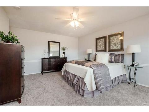 178 Braeshire Dr, Ballwin, MO 63021 photo 16
