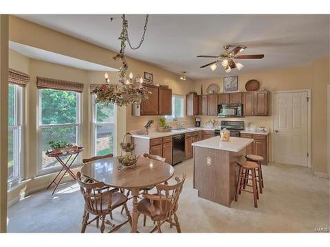 367 Arbor Glen Dr, Ballwin, MO 63021 photo 9