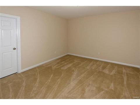 401 Willow Weald Path, Chesterfield, MO 63005 photo 42