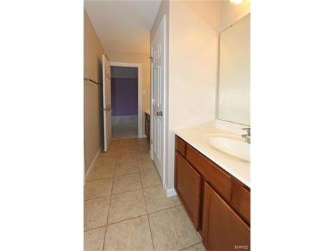 401 Willow Weald Path, Chesterfield, MO 63005 photo 35